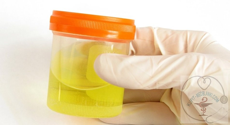 Купить анализ мочи быстро с доставкой Купить анализ мочи быстро с доставкой