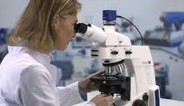 ������ ����� ������ ���� � ������ ��������